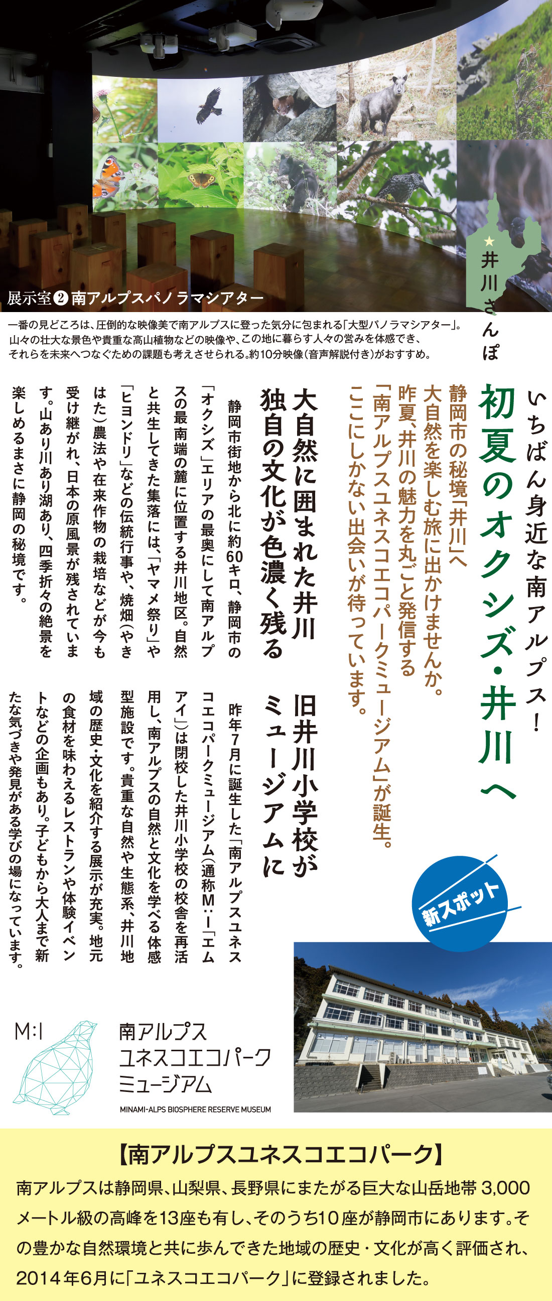 初夏のオクシズ井川へ出かけませんか
