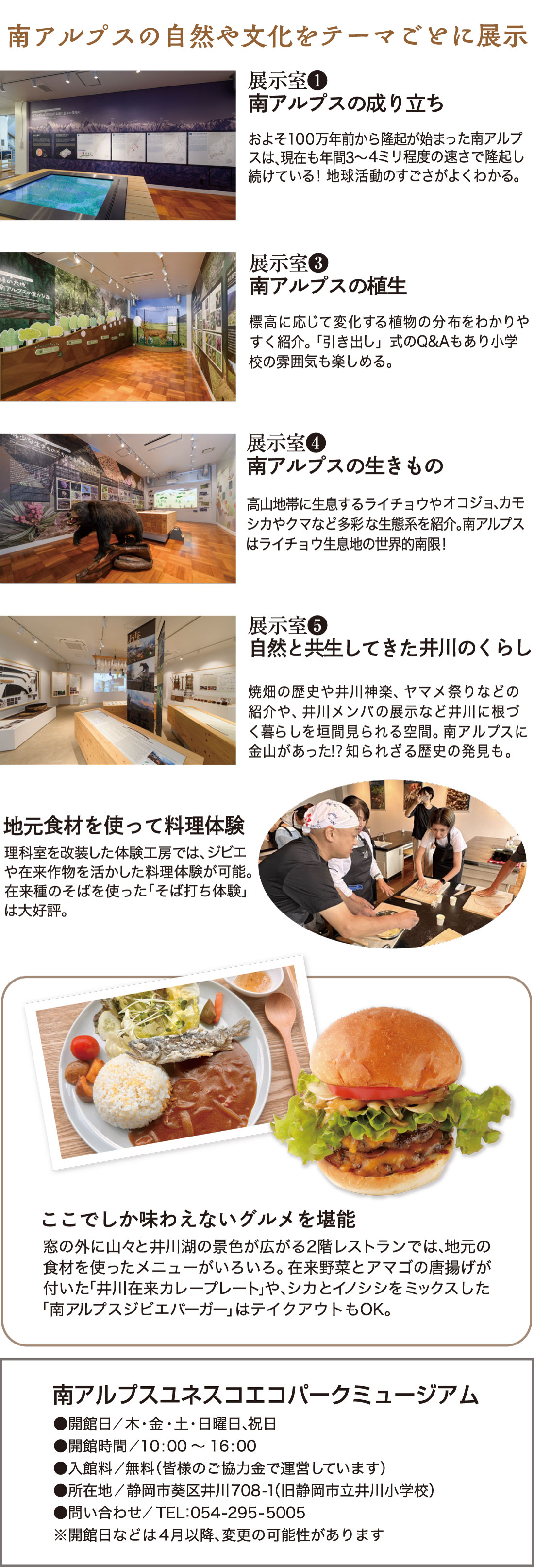 初夏のオクシズ井川へ出かけませんか